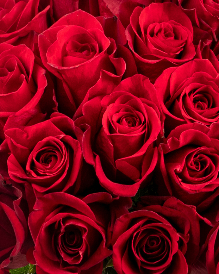 Bouquet with 23 red roses – the image 2