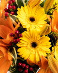 Yellow gerbera and orange lilies bouquet – the image 2