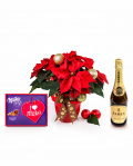 Christmas arrangement with euphorbia – imaginea 1