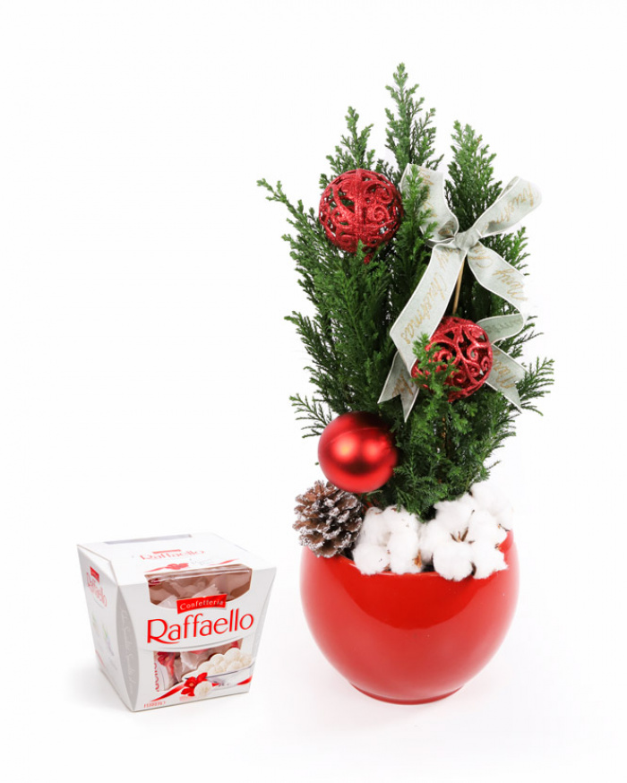 Christmas tree with red ornaments – imaginea 1