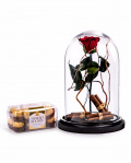  Red cryogenic rose in the dome – imaginea 1
