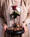  Red cryogenic rose in the dome – imaginea 3