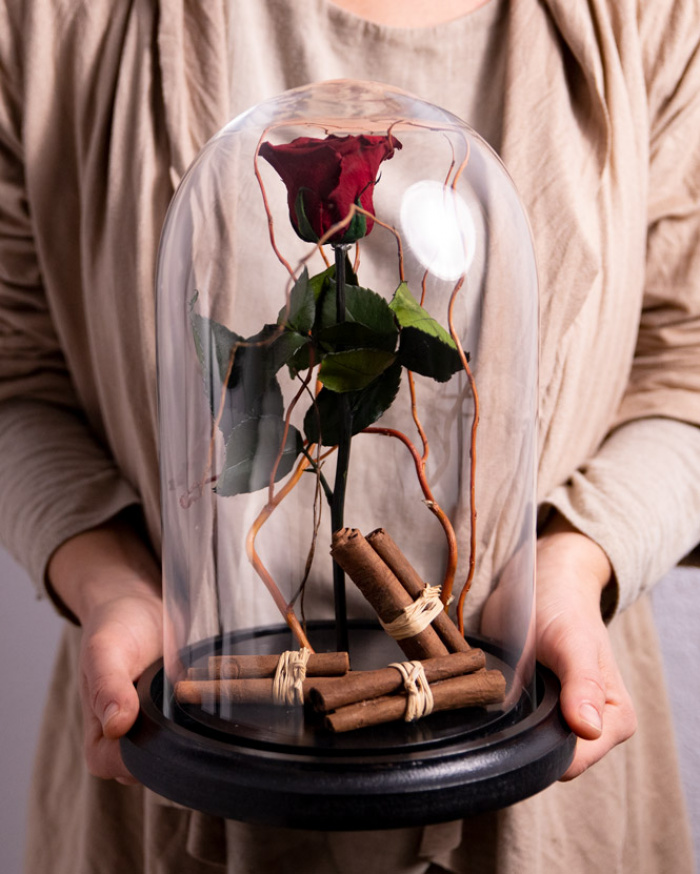  Red cryogenic rose in the dome – imaginea 3