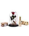 Red cryogenic rose in the dome – imaginea 1