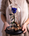 Blue cryogenic rose in the dome – imaginea 3