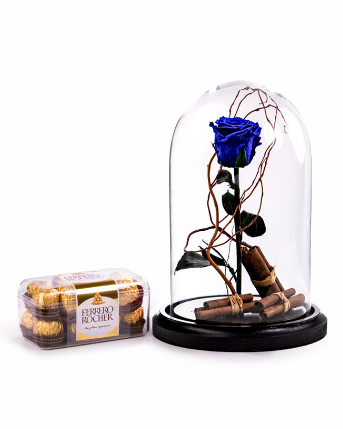 Blue cryogenic rose in the dome – imaginea 1