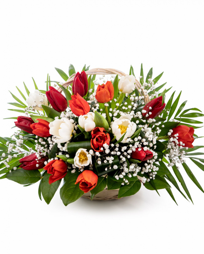 Red and white tulips basket – imaginea 1