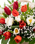 Red and white tulips basket – imaginea 2