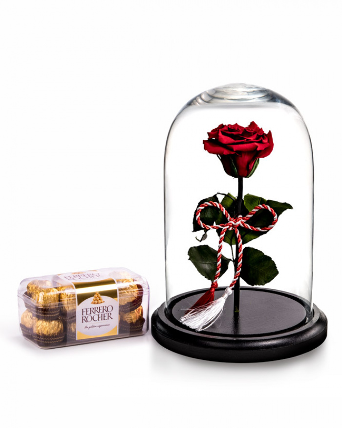 Preserver rose for 1st March – imaginea 1