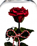 Preserved rose for 1st of March – imaginea 2