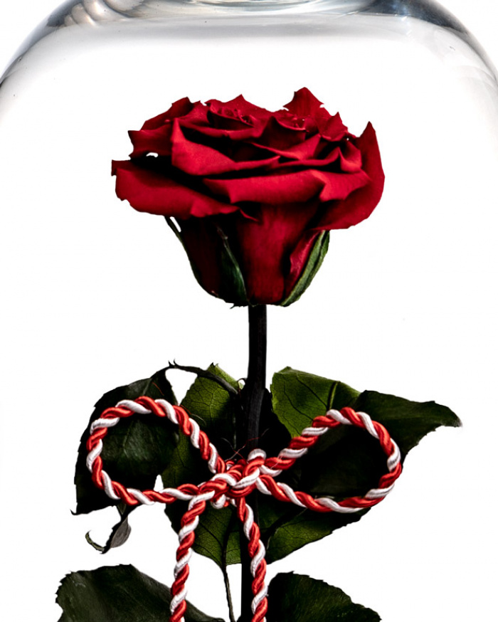 Preserved rose for 1st of March – imaginea 2