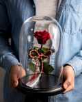 Preserved rose for 1st of March – imaginea 3