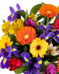 Good thoughts for friends – imaginea 2