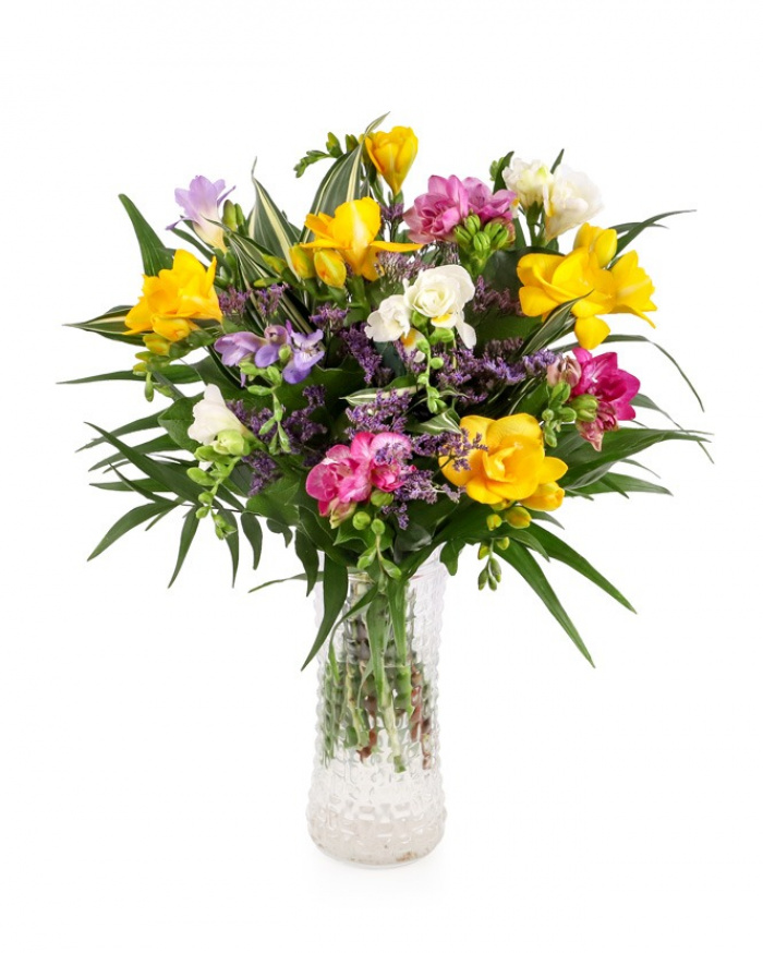 Optimism for grandparents – the image 1