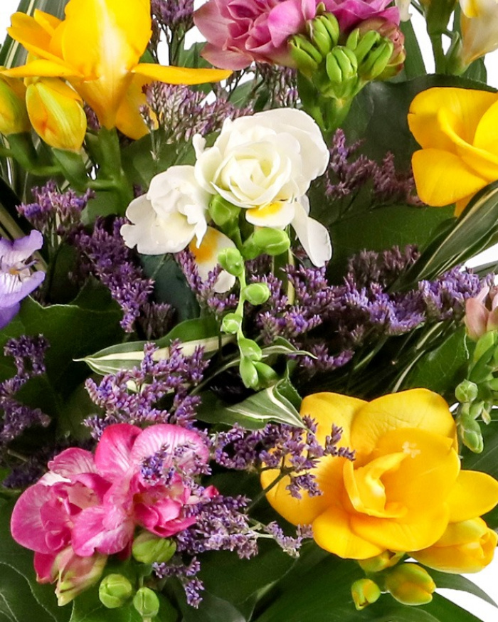 Optimism for grandparents – the image 2