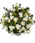 Buchet cu frezii albe – imaginea 1