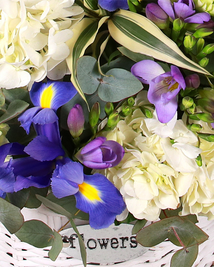 Hydrangea and iris basket – imaginea 2