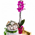 Orhidee Phalaenopsis și cutie cu brânzeturi