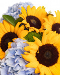 Summer flower bouquet