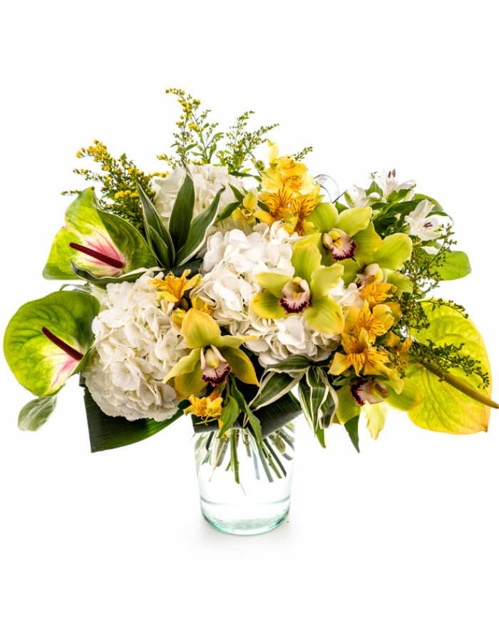 Buchet cu orhidee Cymbidium și hortensii – imaginea 1