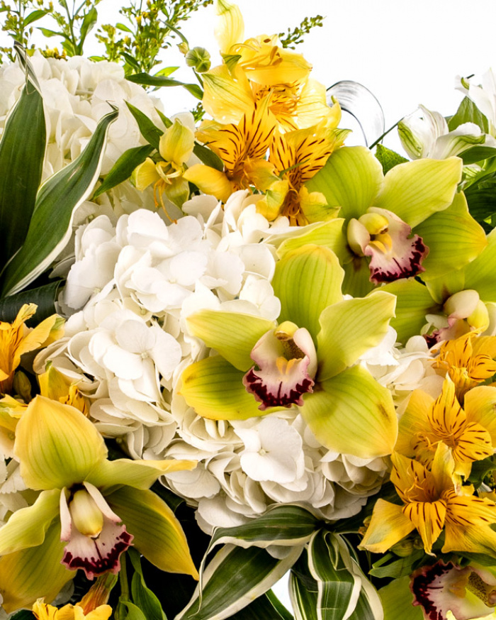 Buchet cu orhidee Cymbidium și hortensii – imaginea 2