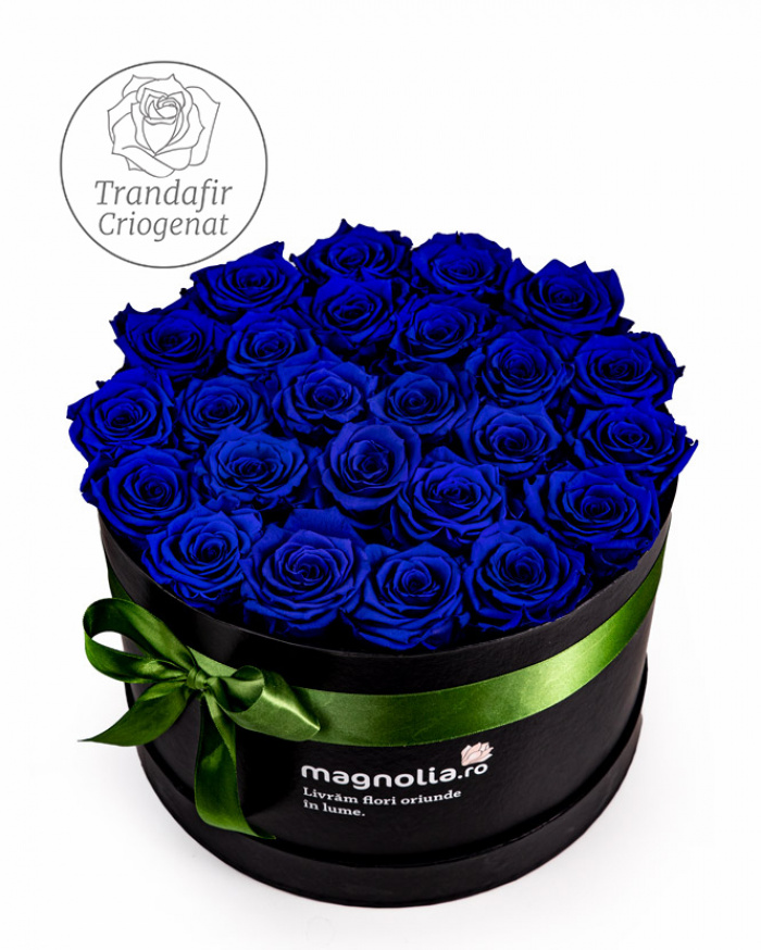 Preserved blue roses arrangement – imaginea 1