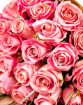 ”Sweet Pink” bouquet – imaginea 2