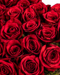 Red rose heart arrangement – the image 3