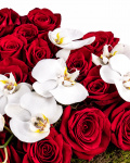 Rose and orchid heart arrangement – the image 3