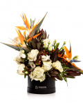 Paradis exotic – imaginea 1