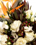 Paradis exotic – imaginea 2
