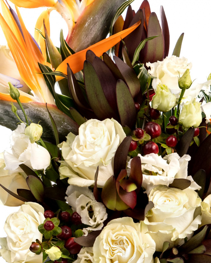 Paradis exotic – imaginea 2