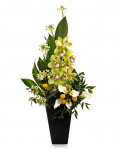 Orchid surprise – imaginea 1