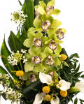 Orchid surprise – imaginea 2