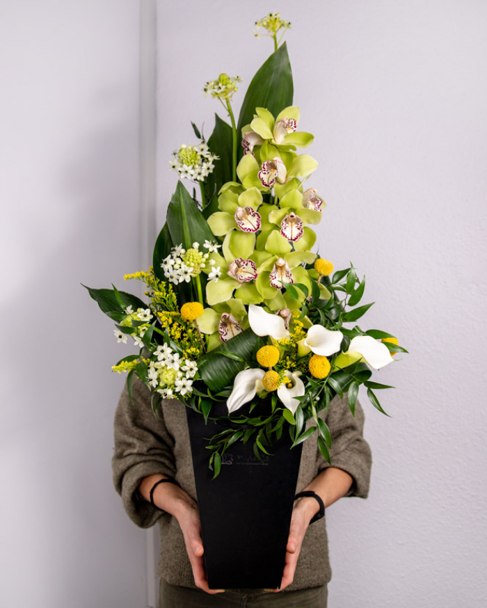Orchid surprise – imaginea 3