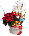 ”Happy Holidays” arrangement