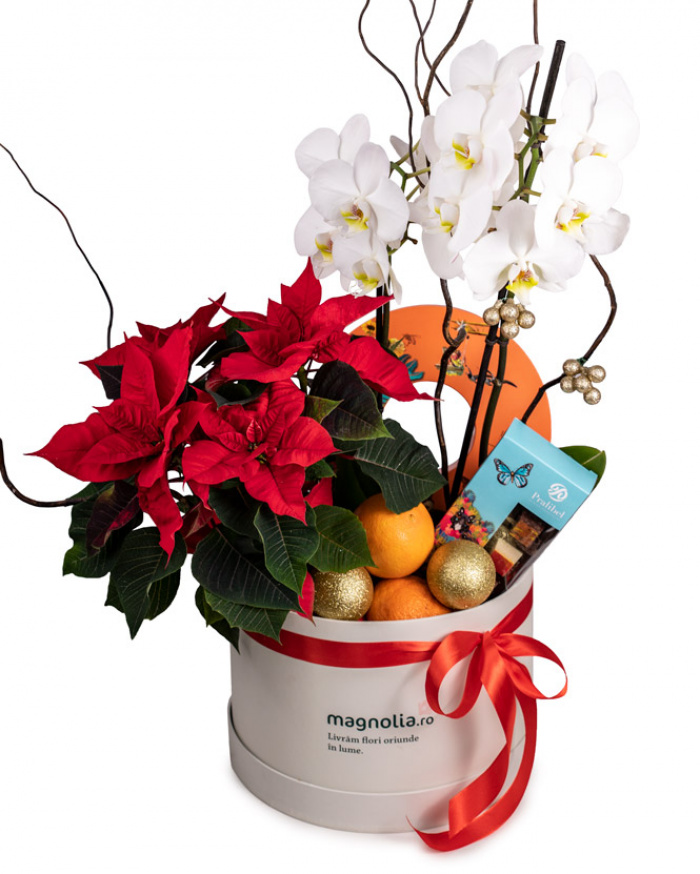 ”Happy Holidays” arrangement