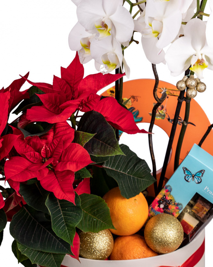 ”Happy Holidays” arrangement