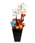Festive elegance – imaginea 1