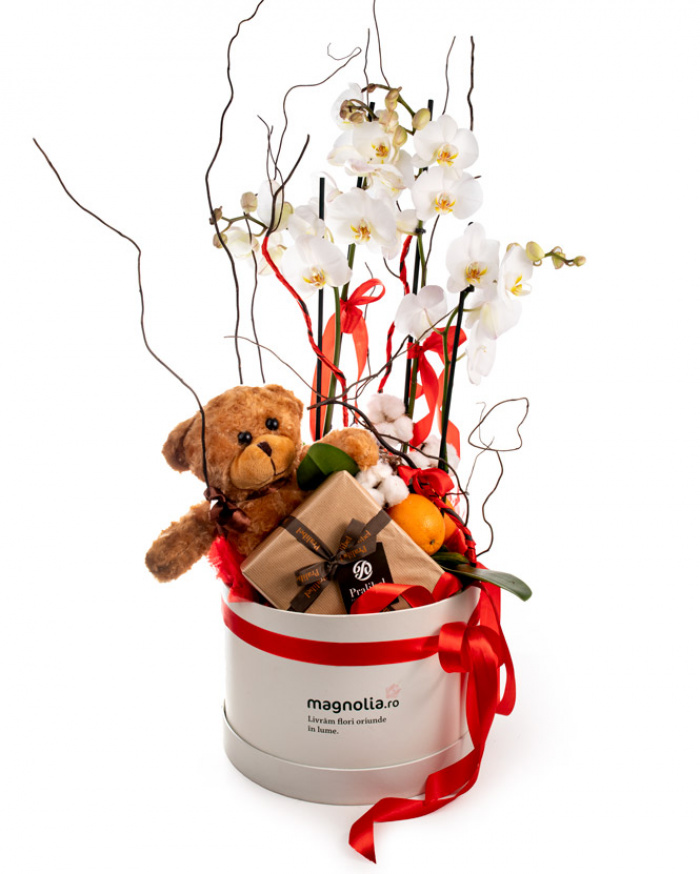 Orchid and chocolate gift