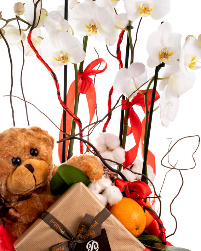 Orchid and chocolate gift