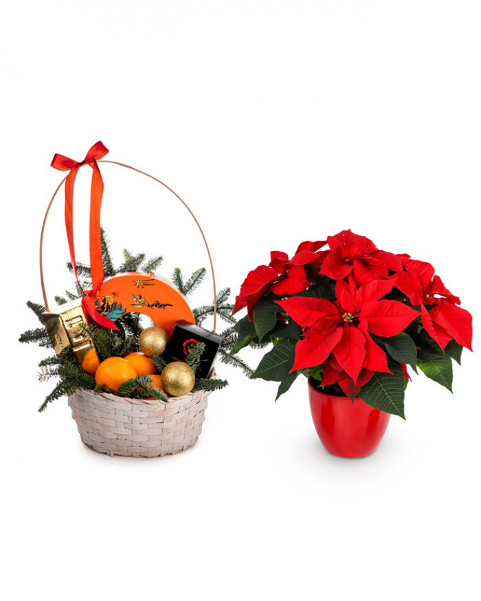 Basket of goodies – imaginea 1