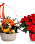 Basket of goodies – imaginea 2