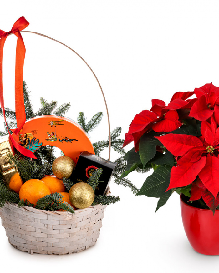 Basket of goodies – imaginea 2