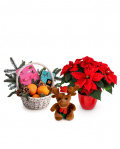 Sweet gift with surprise – imaginea 1