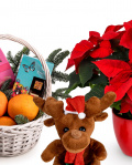 Sweet gift with surprise – imaginea 2