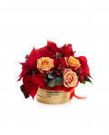 ”Merry Christmas” arrangement – imaginea 1