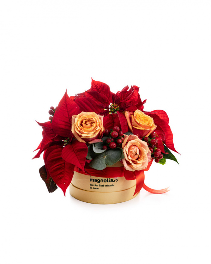 ”Merry Christmas” arrangement – imaginea 1