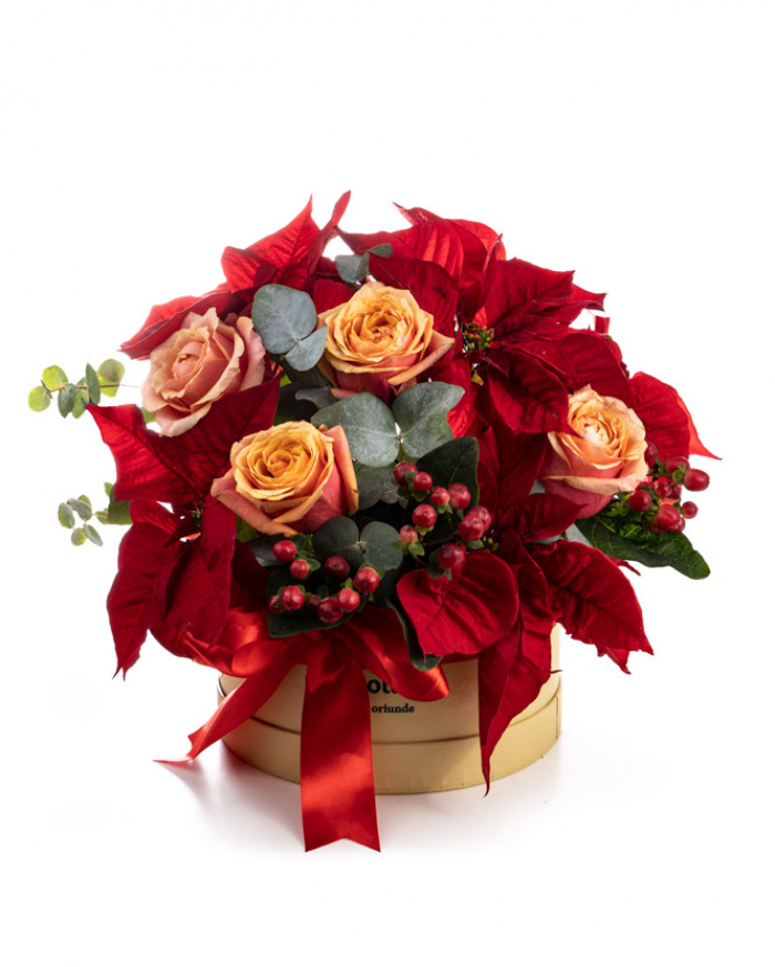”Merry Christmas” arrangement – imaginea 1