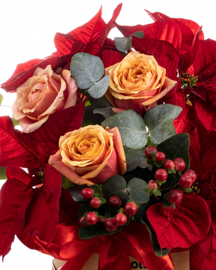 ”Merry Christmas” arrangement – imaginea 2